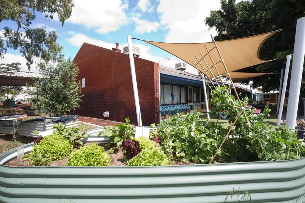 school-grounds25.jpg